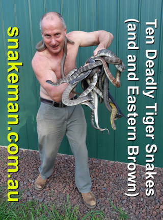 snake catcher Melbourne